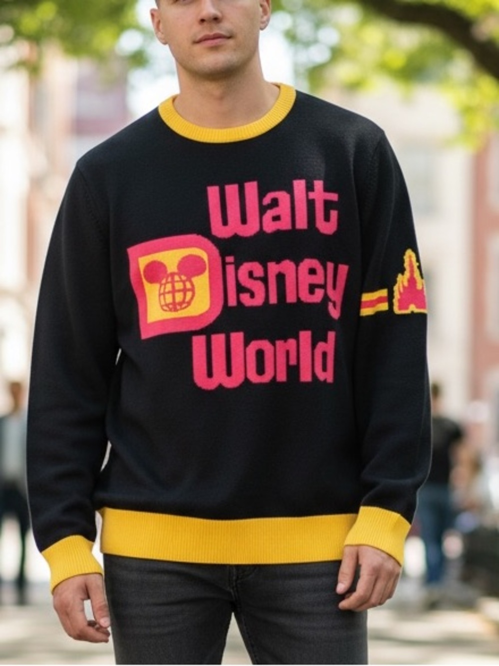 Disney Unisex Intarsia Knit Sweater - Walt Disney